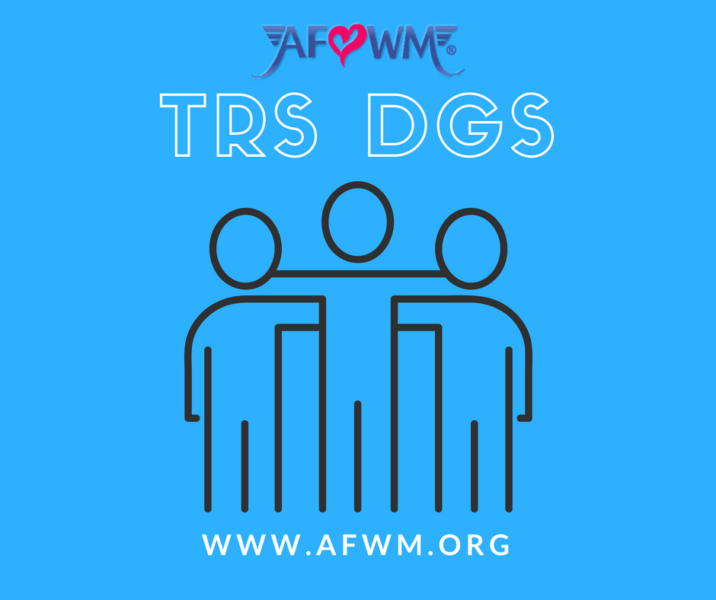air force wing moms website